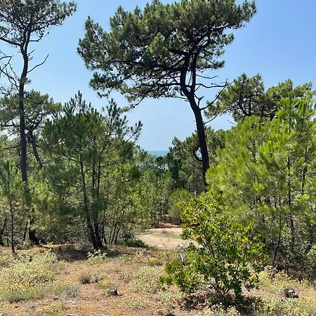Charmante Maison 5 Pers, Proche Plage, Animaux Admis, Parking - Fr-1-823-56 *